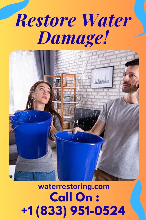 water restoration Capital Sewage Cleanup Force Bridgeville