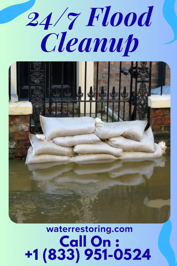 24/7 Flood Cleanup in Bridgeville, NJ