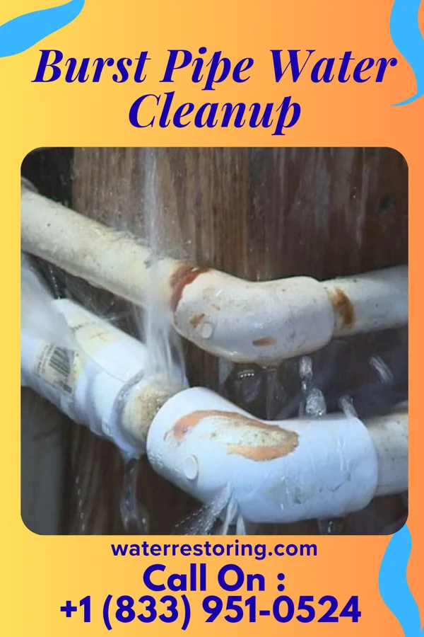 Burst Pipe Water Cleanup in Bridgeville, NJ