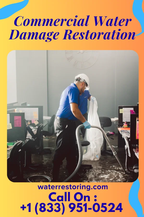 Commercial Water Damage Restoration in Bridgeville, NJ