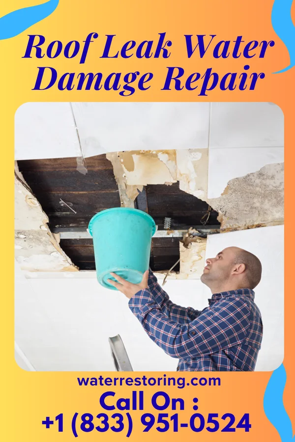 Roof Leak Water Damage Repair in Bridgeville, NJ