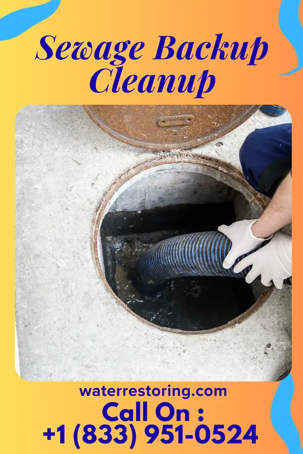 Sewage Backup Cleanup in Bridgeville, NJ