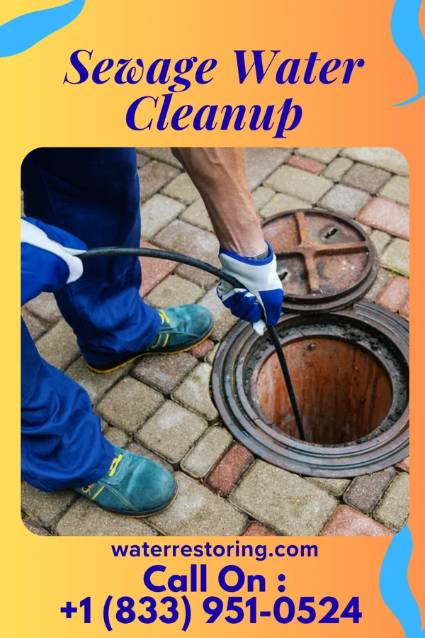 Sewage Water Cleanup in Bridgeville, NJ